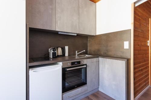 a small kitchen with a sink and a dishwasher at MiniZell - Small Cosy Central in Mariazell