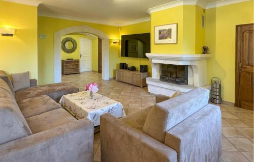un salon avec un canapé et une cheminée dans l'établissement Lovely Home In St, Cannat, à Saint-Cannat