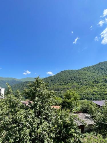 Příroda nedaleko penzionu – hostince