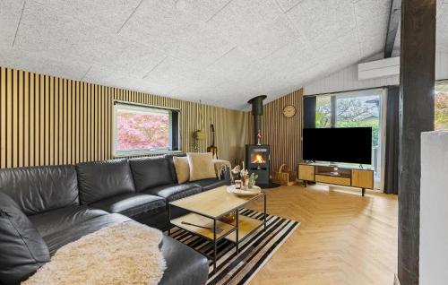 a living room with a couch and a tv at 4 Bedroom Awesome Home In Otterup in Otterup