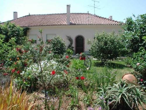 a garden in front of a house with flowers at Casa Caetano in Souto da Carpalhosa