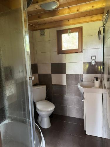 a bathroom with a toilet and a sink and a shower at Domki nad morzem - Wisełka in Wisełka