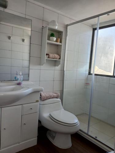 a bathroom with a toilet and a shower and a sink at Department la Serena Beach in La Serena