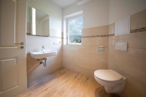 a bathroom with a toilet and a sink and a window at Landhaus Bea in Rabenkirchen-Faulück