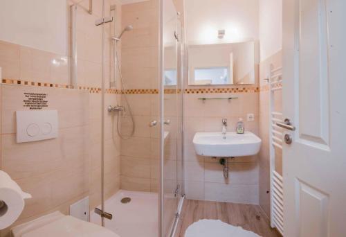 a bathroom with a shower and a sink at Appartementhaus Schleiblick in Kappeln