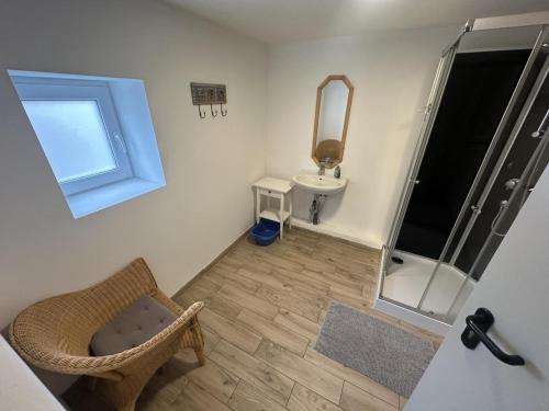 a bathroom with a shower and a toilet and a mirror at Monteurzimmer an der Schlei in Rabenkirchen-Faulück