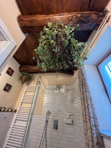 a bathroom with plants hanging from a ceiling at Luna Home in Arona