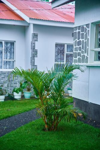 a palm tree in front of a house at Villa Malkia's in Enaboishu