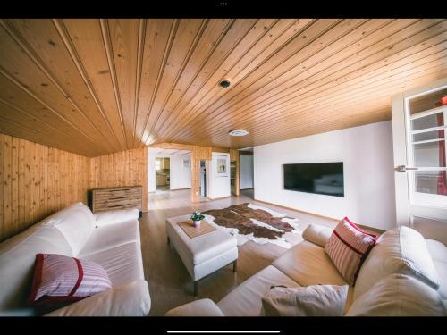 TV a/nebo společenská místnost v ubytování ALPINEMAGIC Chalet Wartstein