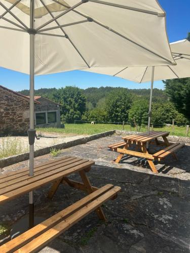 Príroda v okolí hotela