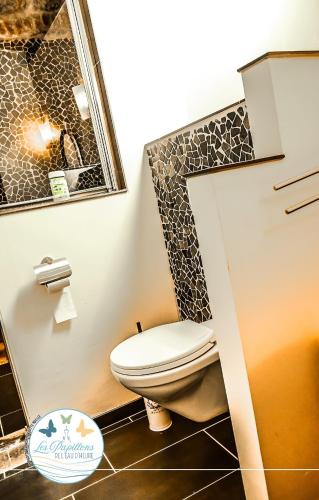 a bathroom with a toilet and a mirror at Les Papillons de l'Eau d'Heure - charmant gîte près des lacs in Walcourt