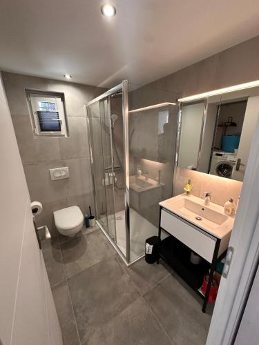 une salle de bain avec une douche, un lavabo et des toilettes dans l'établissement Maison Lagune bleu, à Gruissan