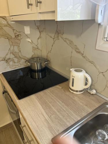a kitchen counter with a toaster and a sink at Two little olives Studio apartment in Kissamos
