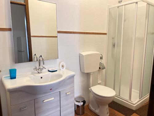a bathroom with a sink and a toilet and a shower at MUSEO GAR-AgriHotel in Certosa di Pavia