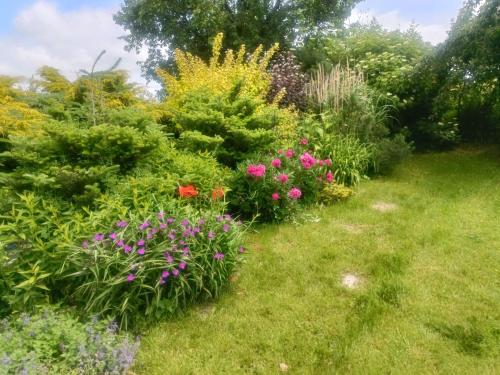 a garden with colorful flowers and plants at Mierki 66 Pokój Rodzinny 1 in Mörken