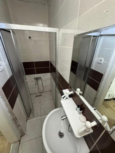 a bathroom with a shower and a white sink at Gold in Confort hotel in Barbaros