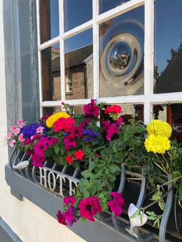 a window with a pot of flowers on a window sill at The Inverkip Restaurant, Bar & Hotel in Inverkip