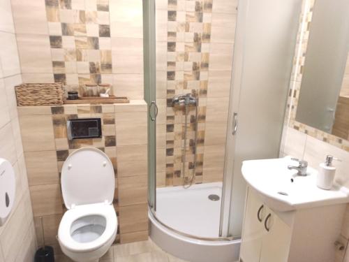 a bathroom with a toilet and a shower and a sink at Agroturystyka u Tadka in Klęczany