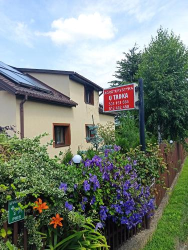 Agroturystyka u Tadka