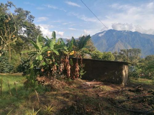 a house in a field with mountains in the background at Jungle Lodge Quillabamba All included 