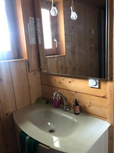 un bagno con lavandino e specchio di Le Chalet de PiqueyRote a Hourtin