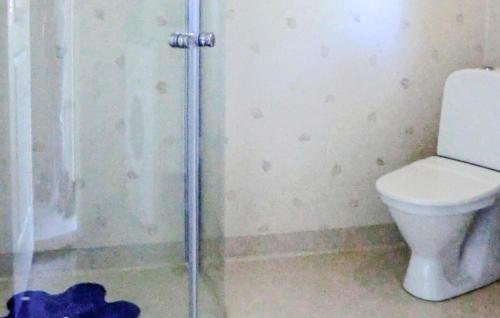 a bathroom with a toilet and a shower stall at Lovely Home In Färjestaden in Färjestaden