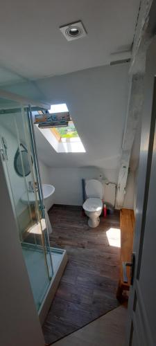 a bathroom with a toilet and a skylight at La cachette en Bouriane in Saint-Cirq-Madelon