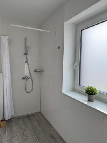 a white bathroom with a shower with a window at Tolle Ferienwohnung in Hagenburg in Hagenburg