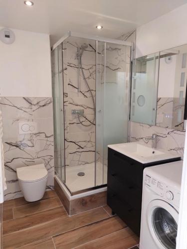 a bathroom with a shower and a washing machine at La Loge du Capitole in Veyrier-du-Lac