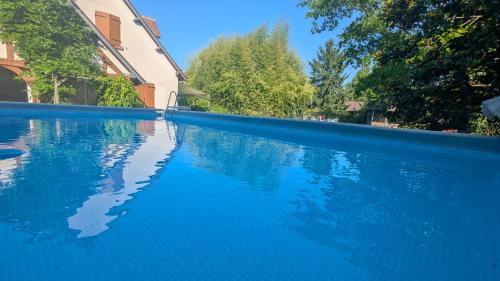 une piscine d'eau bleue à côté d'un bâtiment dans l'établissement Gîte Le Grand Albizia, à Cellettes