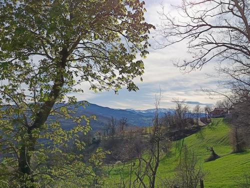 a view of a green field with mountains in the distance at That's amore casa vacanze B&B 