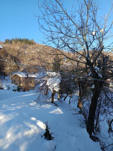 a snow covered field with a tree in the foreground at That's amore casa vacanze B&B 