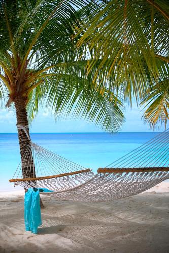 a hammock under a palm tree on a beach at Diamonds Athuruga Maldives Resort & Spa in Athuruga Island