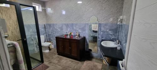a bathroom with a sink and a shower and a toilet at Crsytal Villa in Trou dʼ Eau Douce