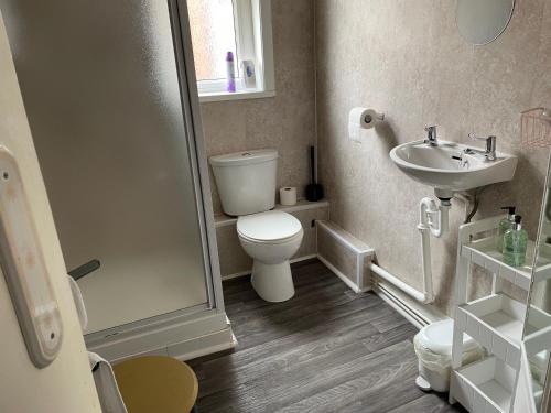 a bathroom with a toilet and a sink at Somerville Hotel in Blackpool
