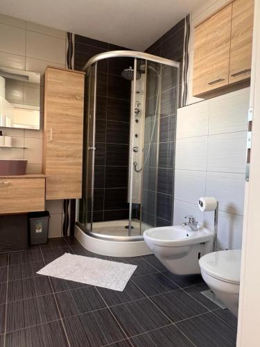 a bathroom with a shower and a toilet and a sink at Villa Lavanda in Vodnjan