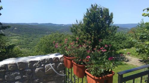 two potted plants on a stone wall with a tree at Apartment Pud Oreh in Roč