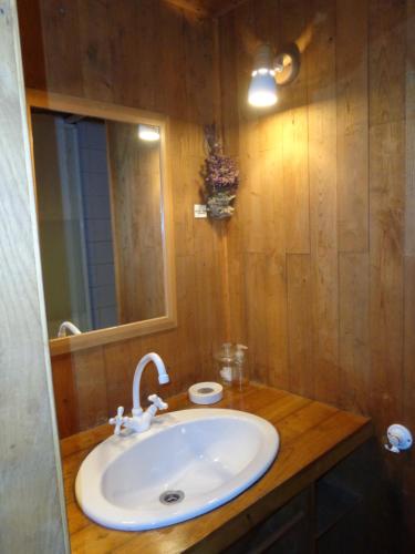 une salle de bain avec un lavabo et un miroir dans l'établissement Le Gîte de la Vallée, à Saint-Hilaire-de-Lavit