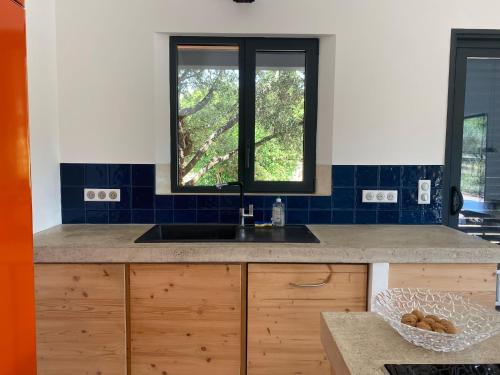 une cuisine avec un évier et deux fenêtres dans l'établissement Le Jardin des Graminées, à Cabrières-dʼAvignon