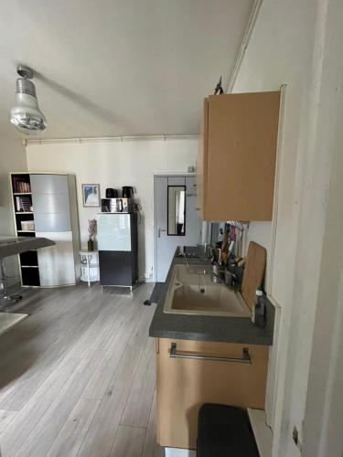Kuchyň nebo kuchyňský kout v ubytování Eiffel Apartment