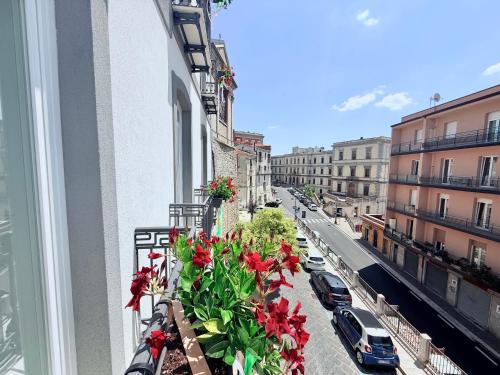 El barrio en el que está la casa de huéspedes o un barrio cercano