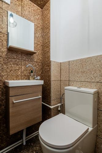 a bathroom with a toilet and a sink at Villa Dumbrava Rosie in Constanţa