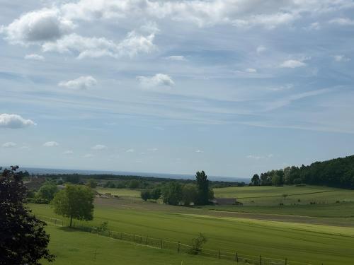 a large green field with a fence and trees at Gite du cerisier in Lanouaille
