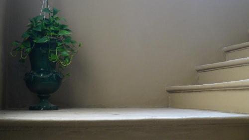 a plant in a vase sitting on a stair case at Historical Suites VVM in Lecce