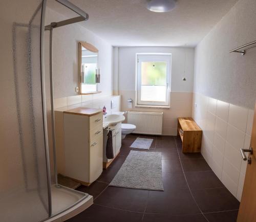 Un baño con ducha, lavabo e inodoro. en Ferienhaus Big Family, en Ellrich