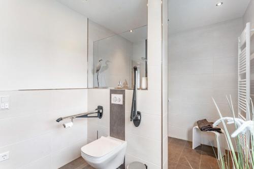 a bathroom with a toilet and a shower at Ferienwohnung Kleine Auszeit in Eslohe
