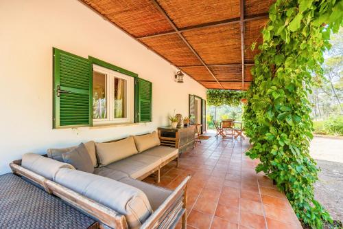 an outdoor living room with couches and a plant at Sa Rota de can Xito in Sencelles