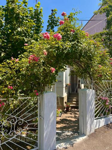 a white gate with pink roses on it at Apartment Milinkovic in Niška Banja