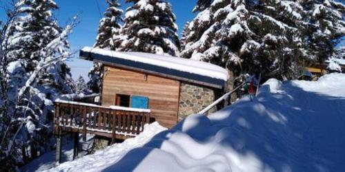 Chalet des lupins - Chalet 1P2