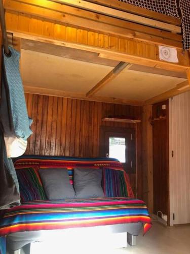 a bunk bed in a room with wooden walls at Chalet des lupins - Chalet 1P2 in Chamrousse